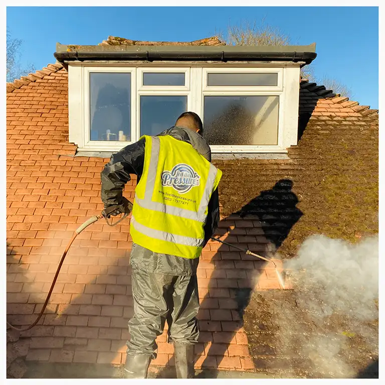 feel_the_pressure_roof_cleaning15.webp